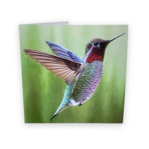 Hummingbird painting card
