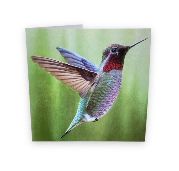 Hummingbird painting card