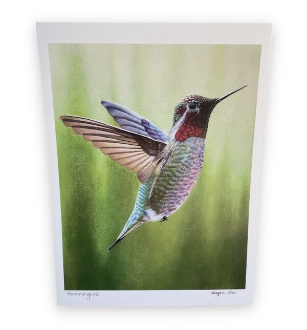 hummingbird print