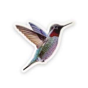 hummingbird vinyl sticker