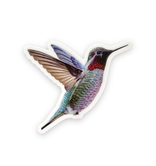 hummingbird vinyl sticker