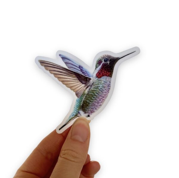 Hummingbird Sticker - Image 2