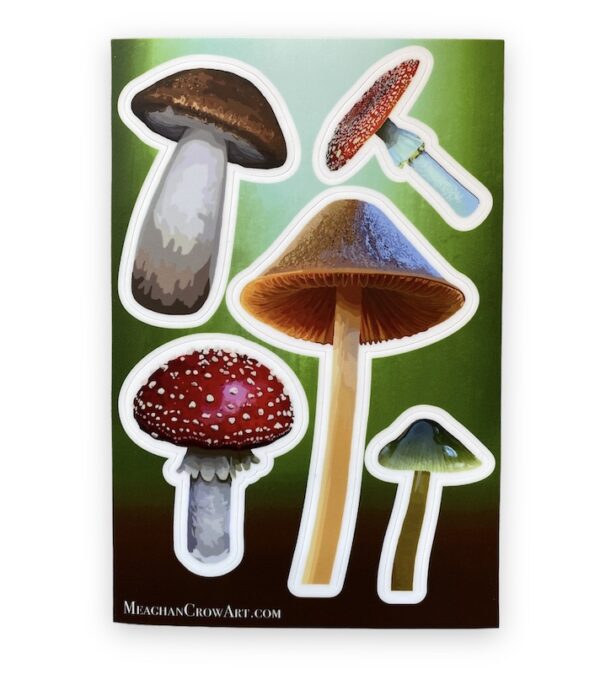 5 varying mushroom vinyl stickers