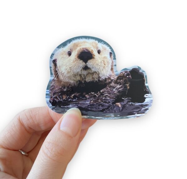 Sea Otter Sticker - Image 2