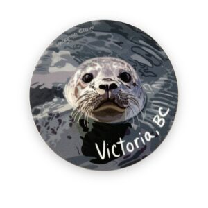 Harbour seal circle sticker