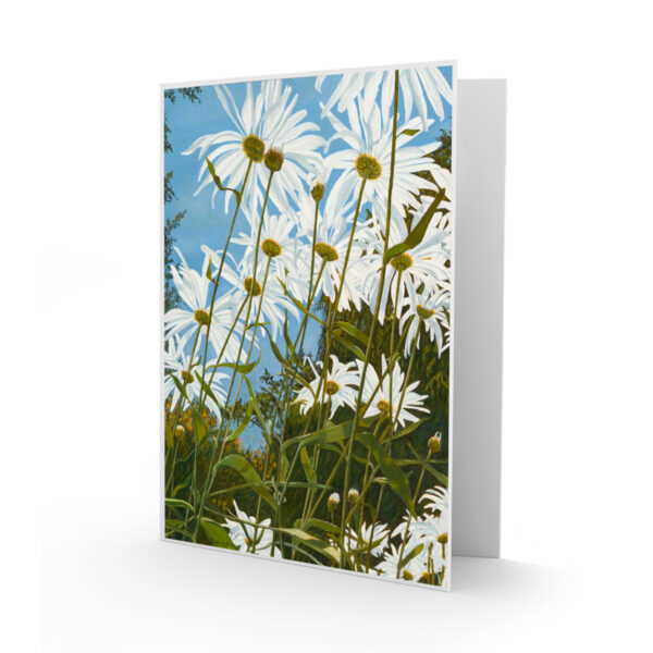 Daisy Forest Nature Art Card by Donna Rose Law