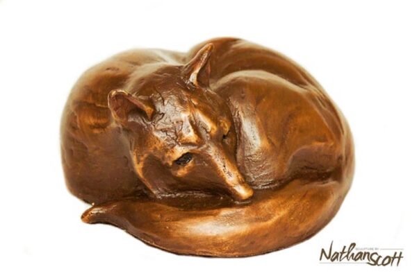 With One Eye Open (Coyote) Bronze Sculpture by Nathan Scott - Image 2