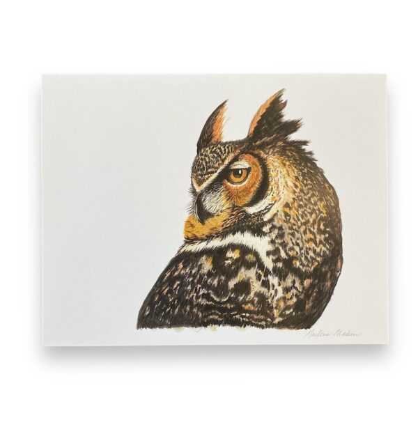 Owl Print