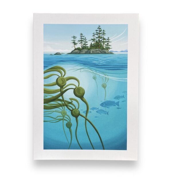 kelp underwater