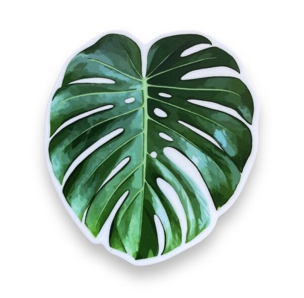 Monstera Leaf Sticker