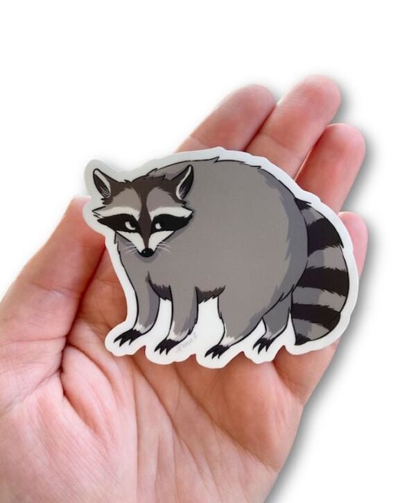 Little Raccoon Sticker by Jenna Zayat